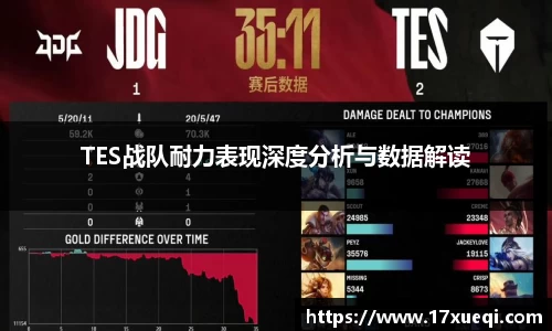 TES战队耐力表现深度分析与数据解读