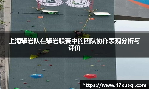 上海攀岩队在攀岩联赛中的团队协作表现分析与评价